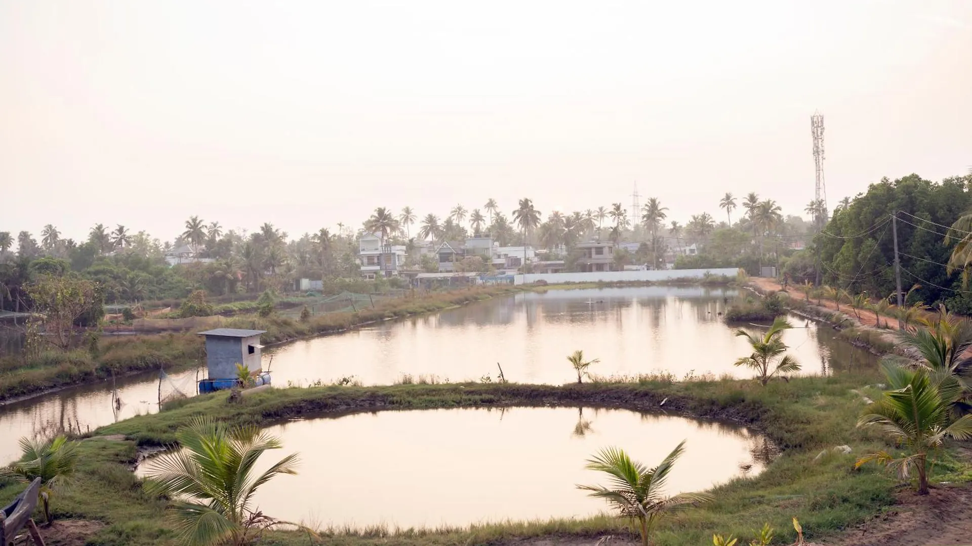 Angels Homestay Kochi 0*,  Hindistan